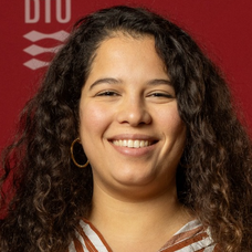 Caroline Costa da Silva Gaudeoso